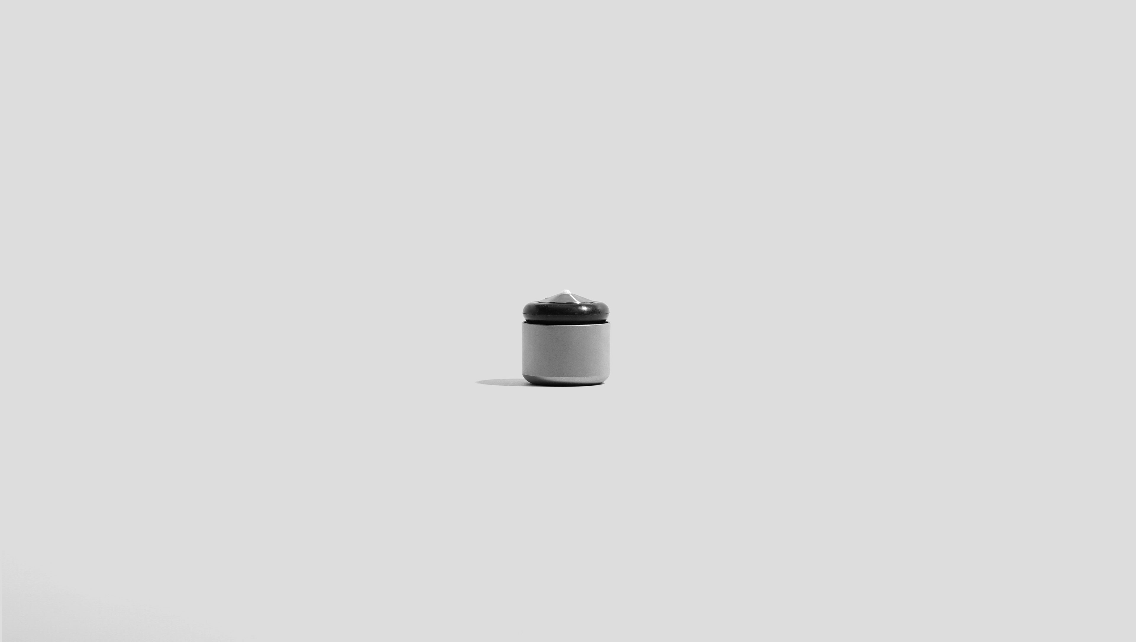 Spin Top