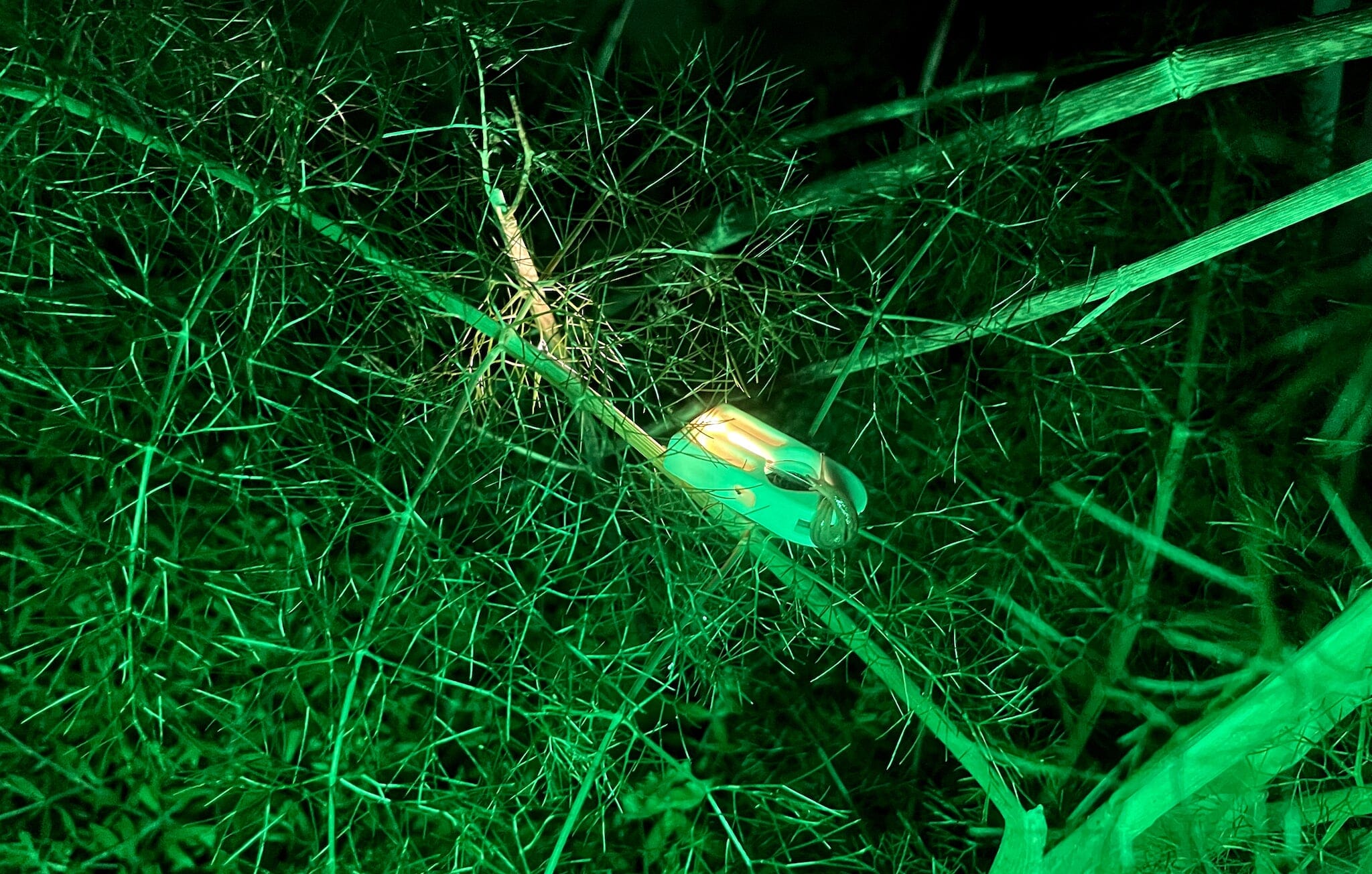 1P Flashlight