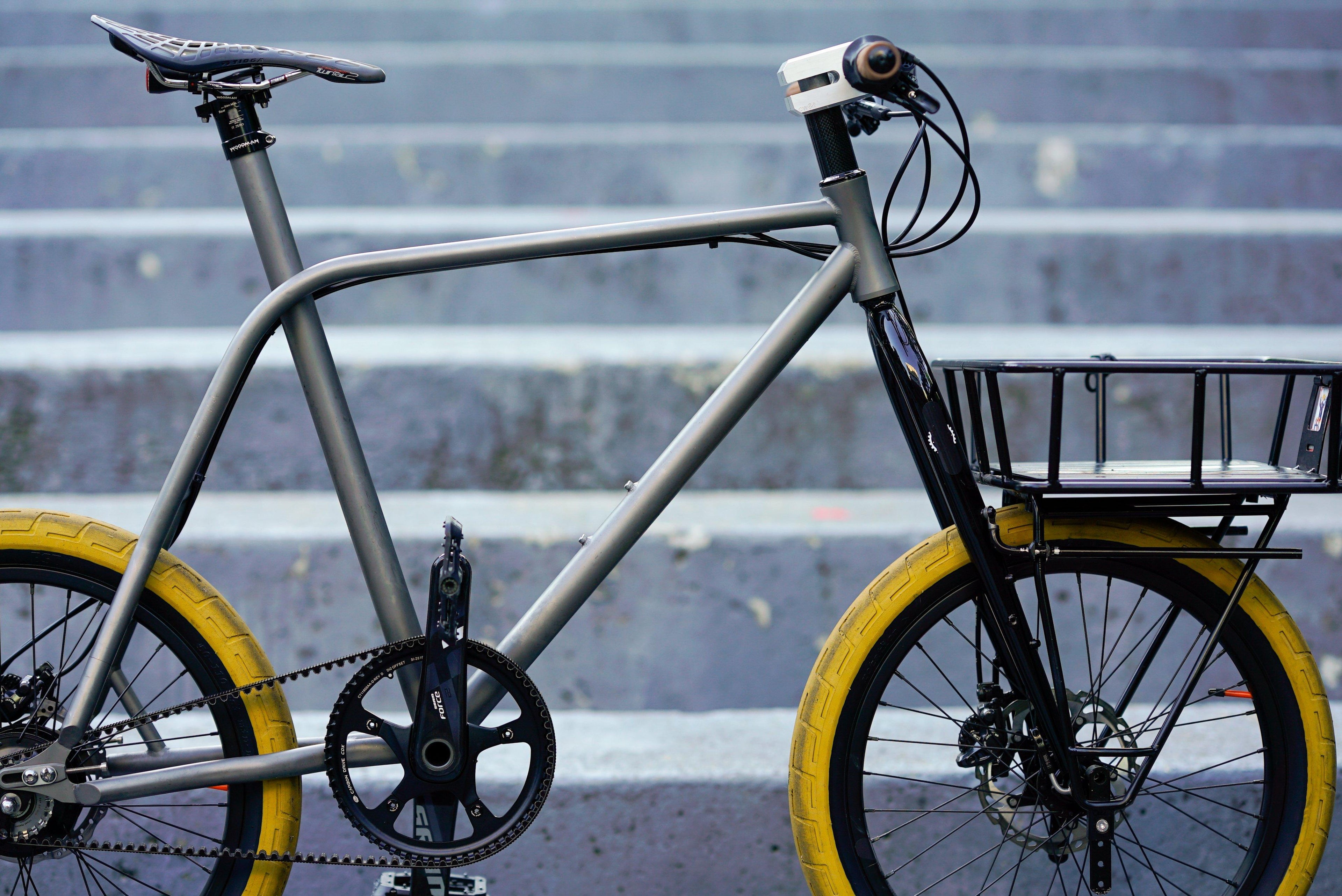 Sleeper Bike