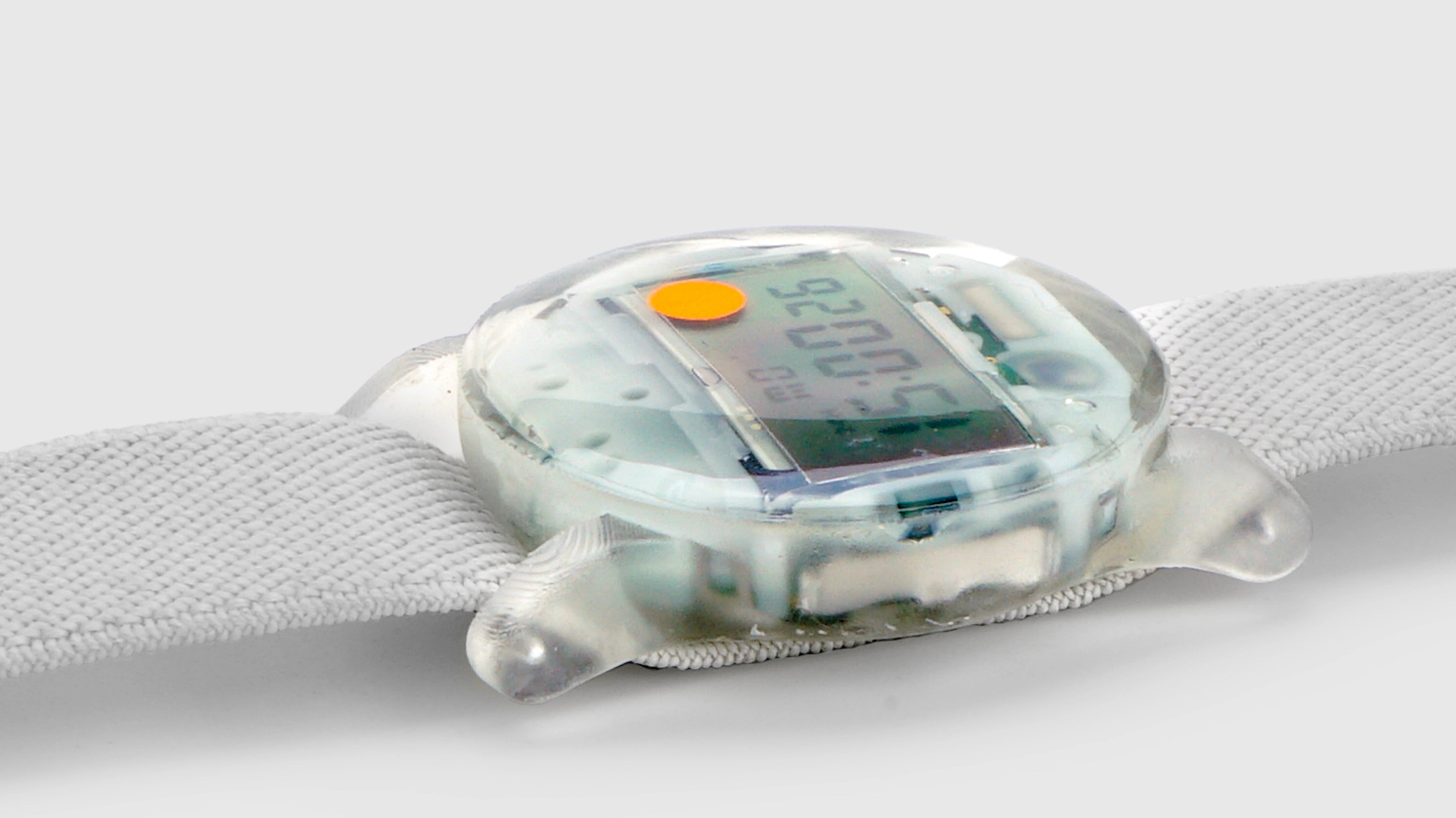 Solid State Watch